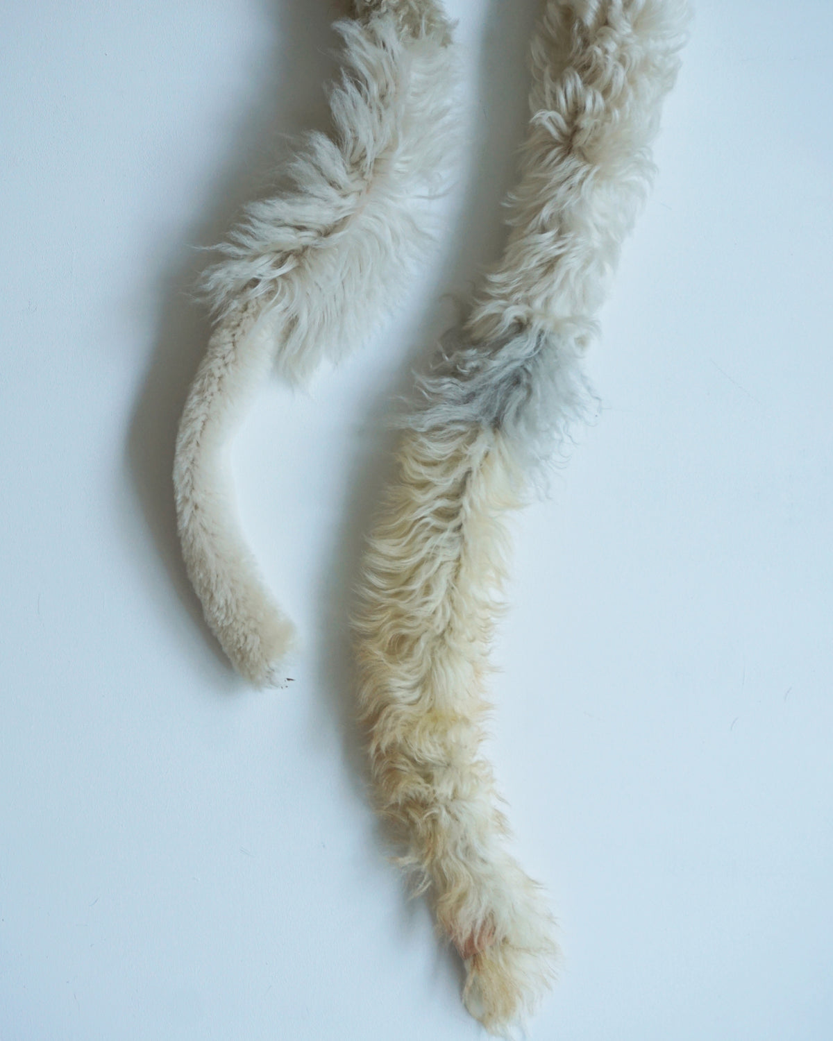 spiral scarf 26-128